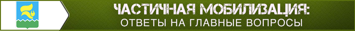 Частичная мобилизация